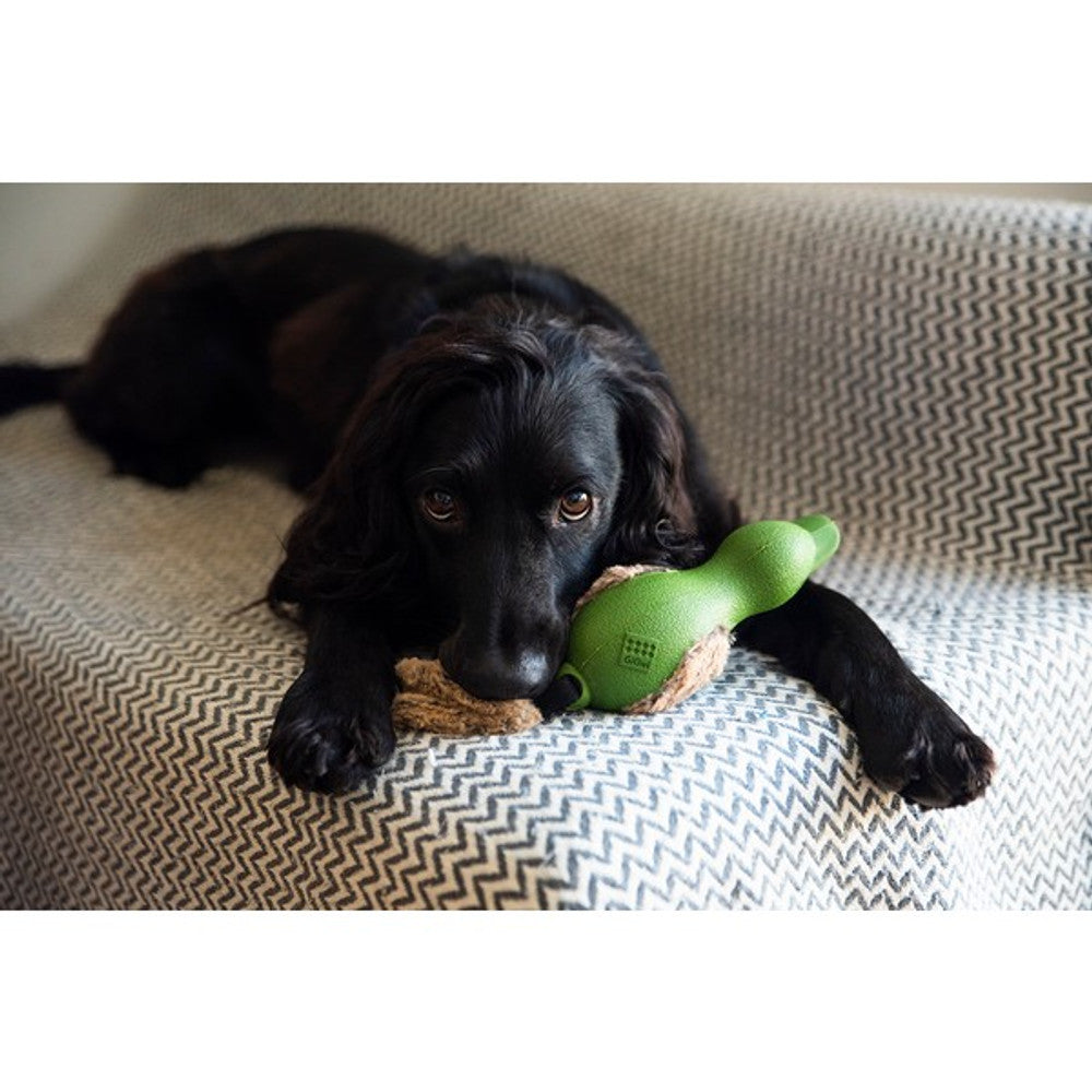 GiGwi Duck Push To Mute with Plush Tail Dog Toy