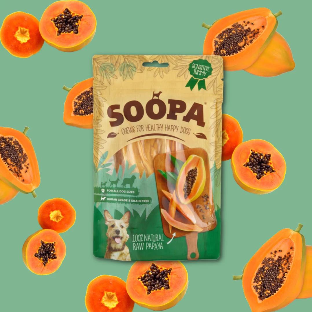 Papaya Chews Natural Dog Treats 100g