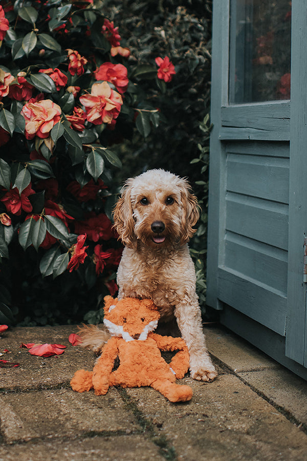 My Dog Luxury Plush Dog Toy - Fox