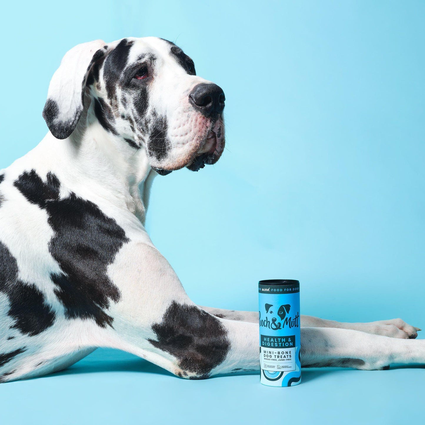 Health & Digestion Mini Bone Dog Treats 125g