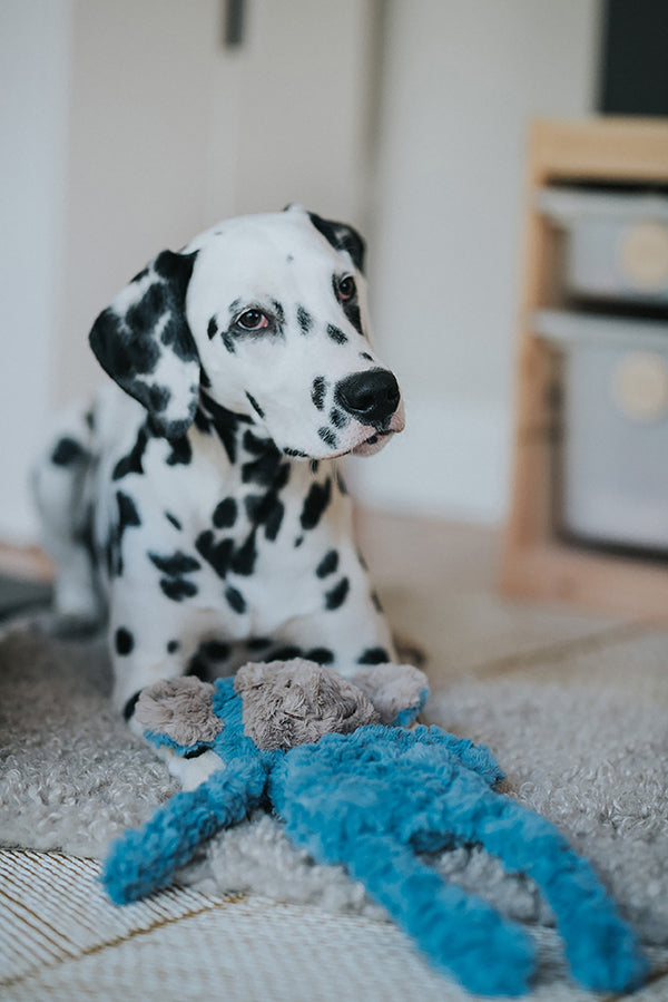 My Dog Luxury Plush Dog Toy - Monkey