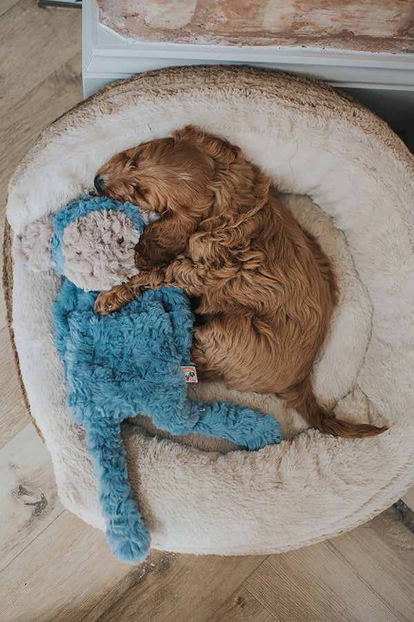 My Dog Luxury Plush Dog Toy - Monkey