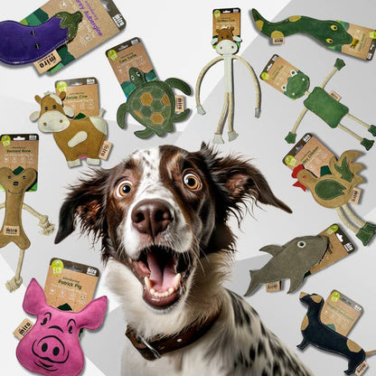 Miro & Makauri Freddie the Frog Eco Friendly Leather & Jute Rope Silent/No Squeaker Dog Toy