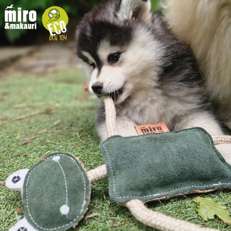 Miro & Makauri Freddie the Frog Eco Friendly Leather & Jute Rope Silent/No Squeaker Dog Toy