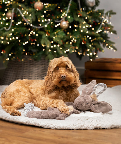 Cupid & Comet Christmas Crinkle Donkey Multi Texture Dog Toy