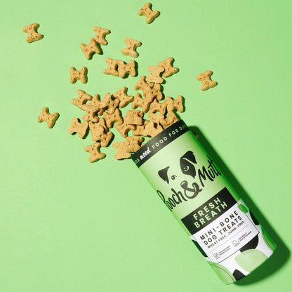 Fresh Breath Mini Bone Dog Treats 125g