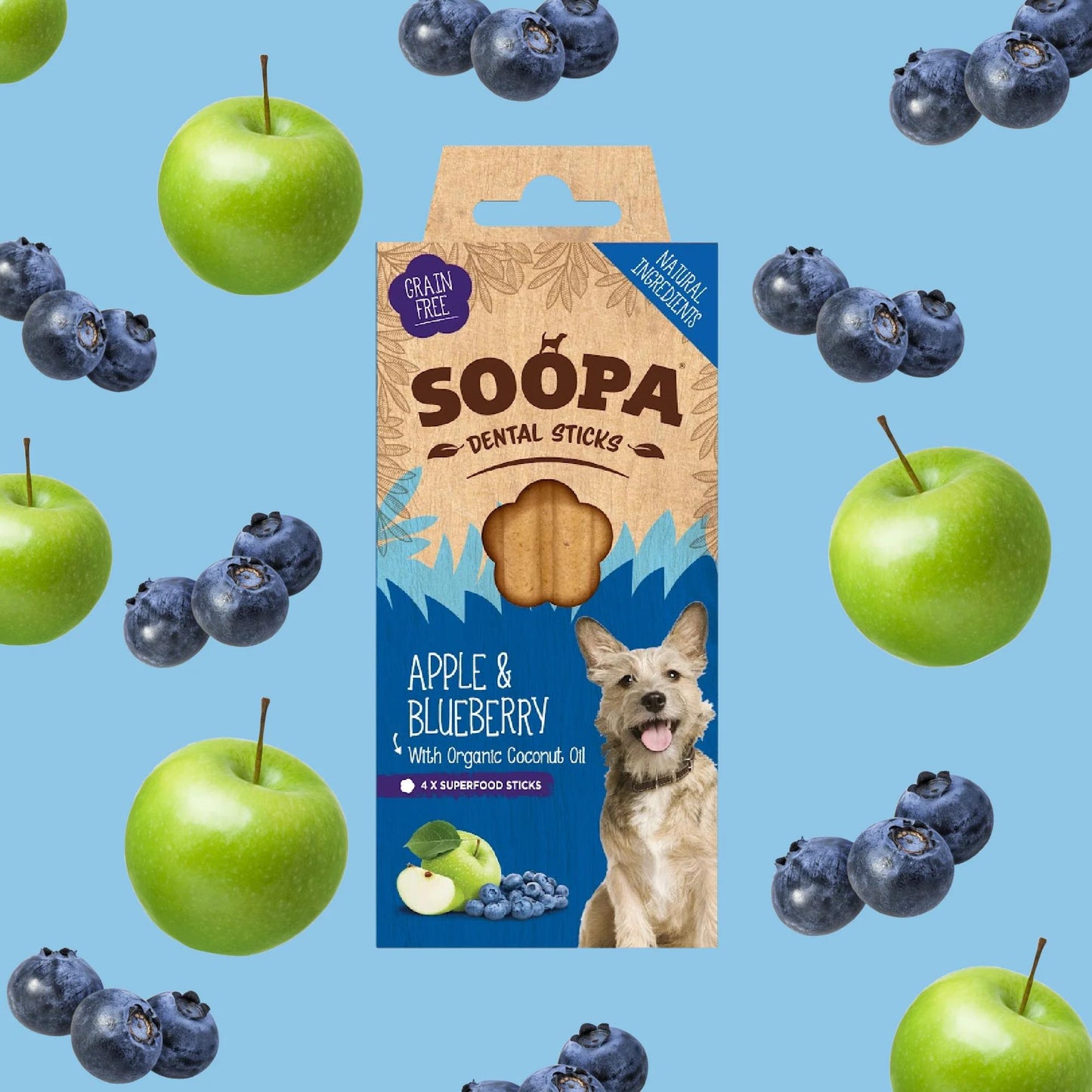 Apple & Blueberry Dental Sticks 100g
