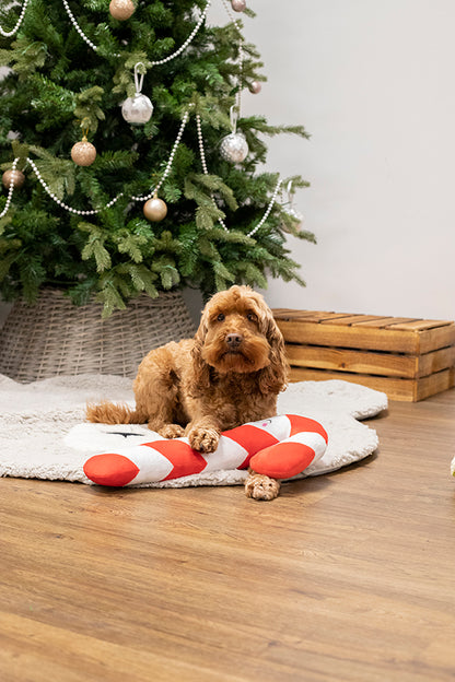 Cupid & Comet Rope Core Candy Cane Festive Dog Toy