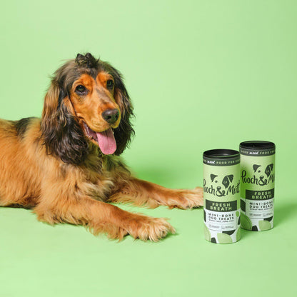 Fresh Breath Mini Bone Dog Treats 125g