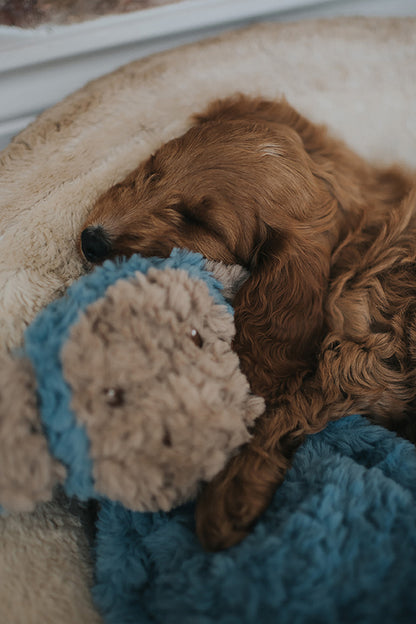 My Dog Luxury Plush Dog Toy - Monkey